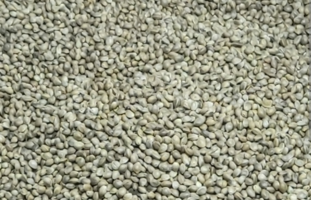 شادونه نمکی
