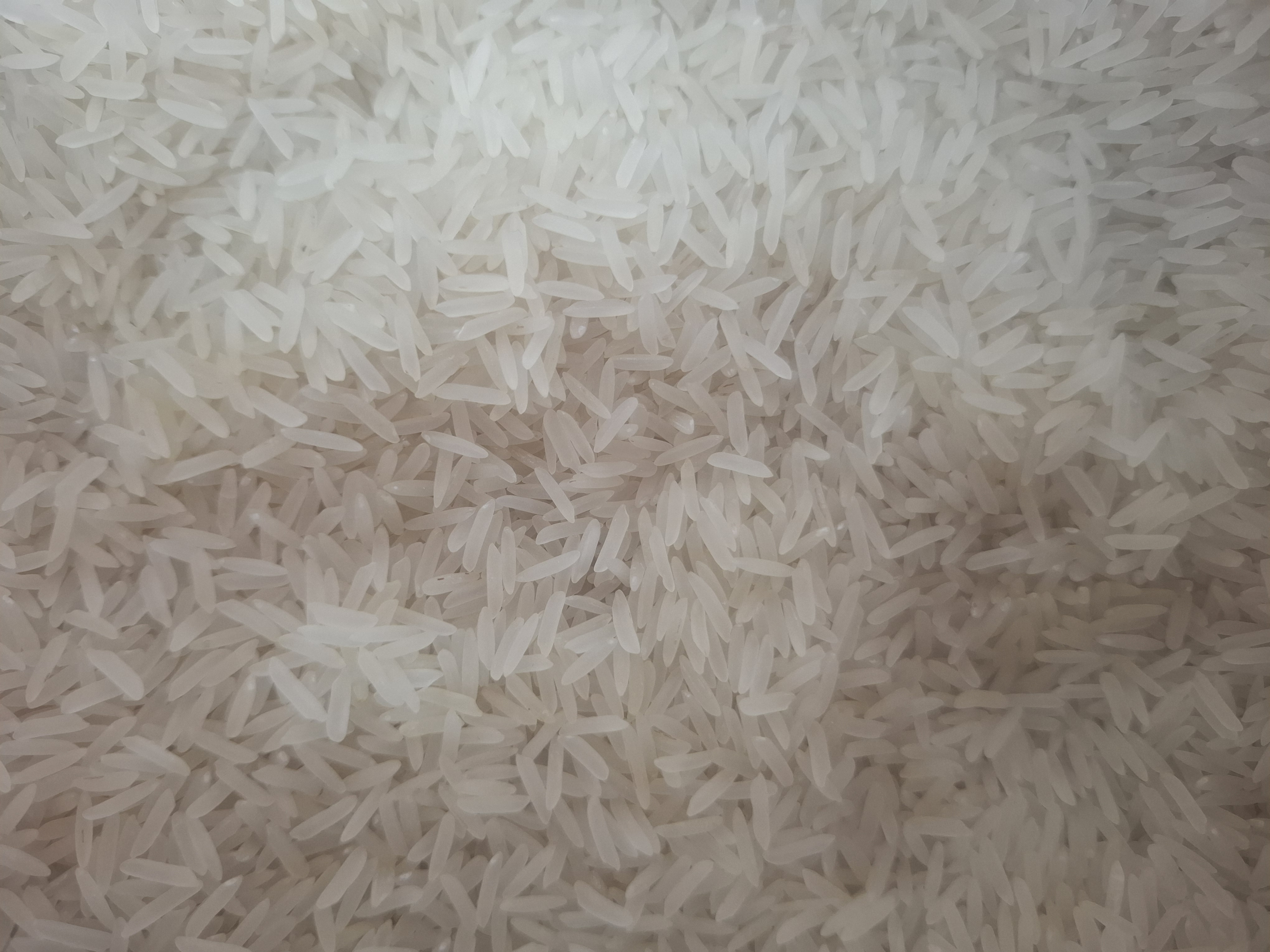 برنج هندی رز گلد ۱۰ کیلویی هندی